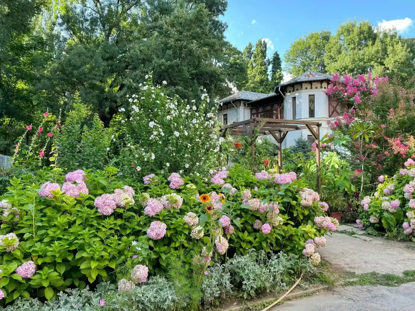 Участки свыше 1 га в Сочи